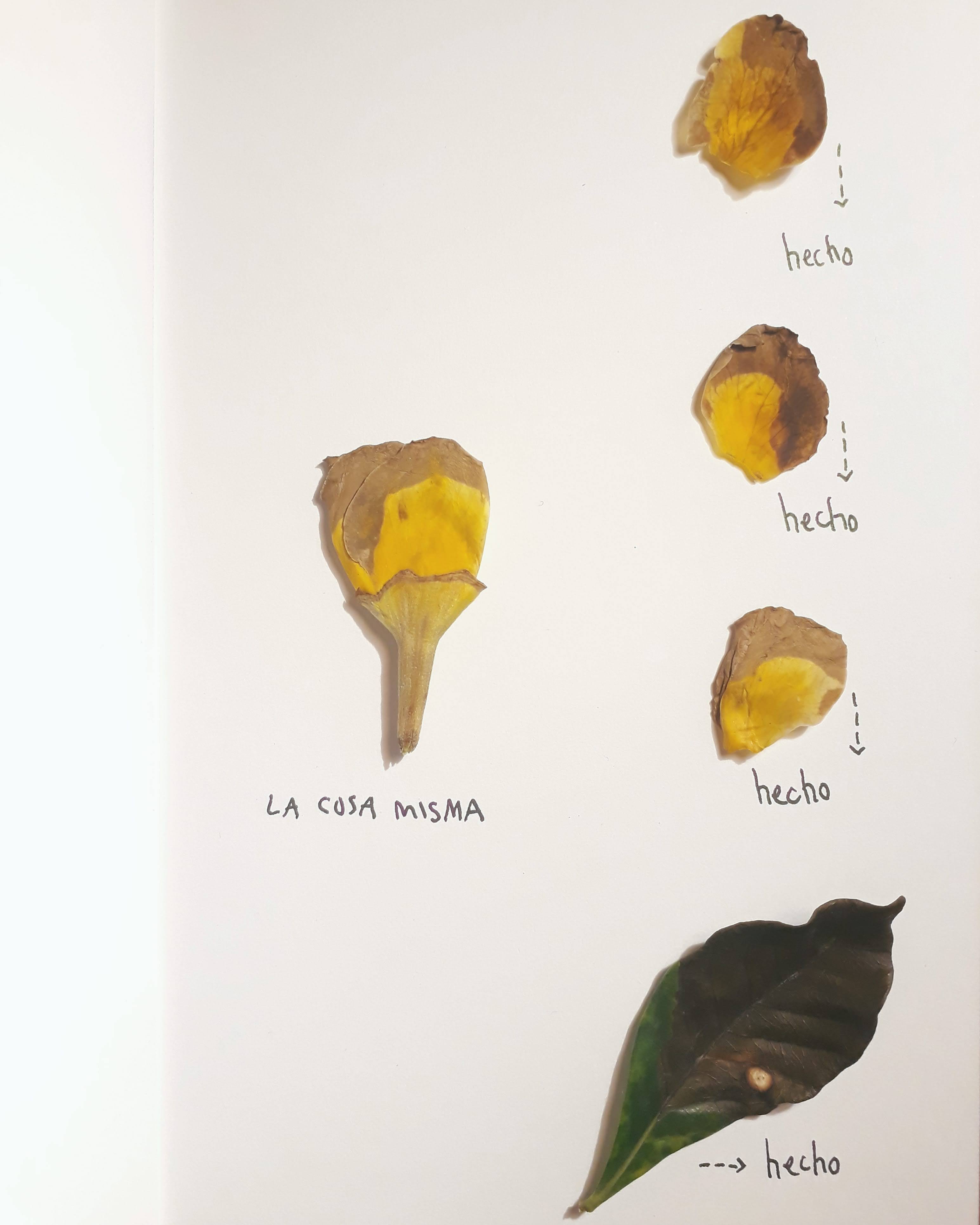 IMG_20200904_003521_044